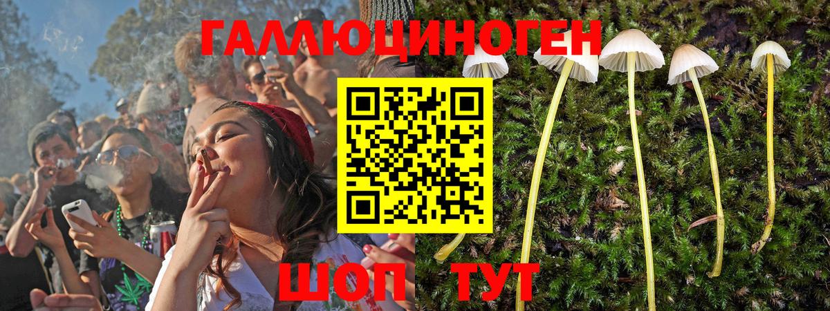 Псилоцибиновые грибы прущие грибы Топки