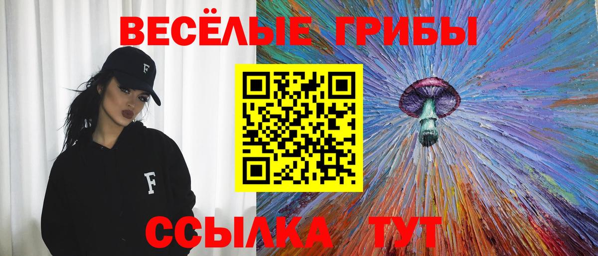 Галлюциногенные грибы Psilocybine cubensis  Вход с VPN  Псилоцибиновые грибы MAGIC MUSHROOMS  Топки 
